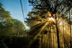 GIẢI PHÁP ĐỒNG BỘ CHO MÔ HÌNH CẤP NƯỚC SINH HOẠT TẬP TRUNG VÙNG MIỀN NÚI TÂY BẮC