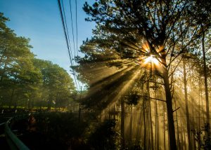 GIẢI PHÁP ĐỒNG BỘ CHO MÔ HÌNH CẤP NƯỚC SINH HOẠT TẬP TRUNG VÙNG MIỀN NÚI TÂY BẮC