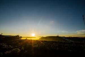 ĐẠI HỘI CHI BỘ TRUNG TÂM TƯ VẤN PIM LẦN THỨ III- NHIỆM KỲ 2015- 2017