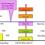 Hiệu quả của mô hình đồng quản lý rừng ngập mặn và tài nguyên thiên nhiên cho vùng ven biển Đồng bằng sông Cửu long