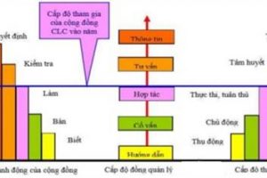 Hiệu quả của mô hình đồng quản lý rừng ngập mặn và tài nguyên thiên nhiên cho vùng ven biển Đồng bằng sông Cửu long